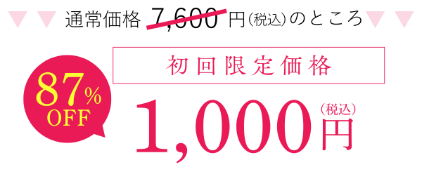 初回限定価格4,800円(税込)